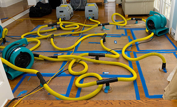 Professional Structural Drying And Dehumidification technician working in Toppenish, WA